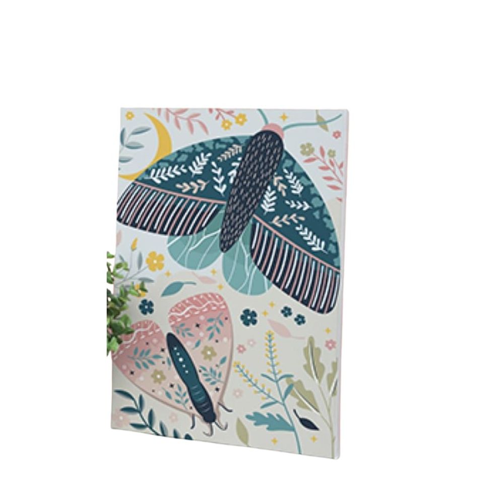 Peinture au numero 20x30 cm - papillons