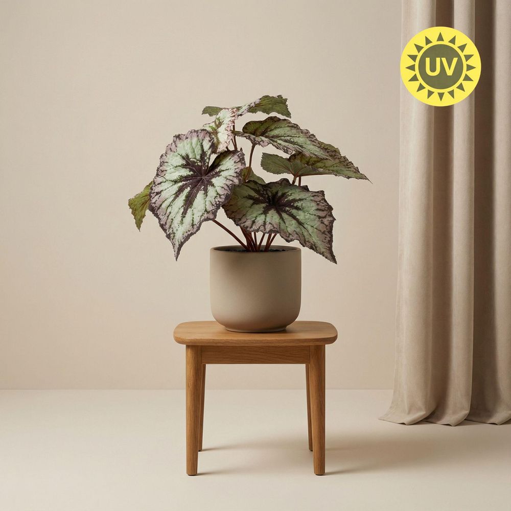 Begonia plante artificielle h26 cm