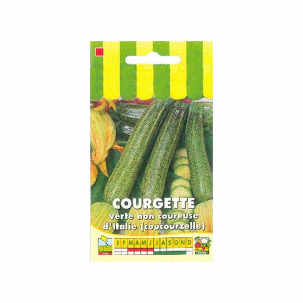 Graines de courgette verte non coureuse d'italie