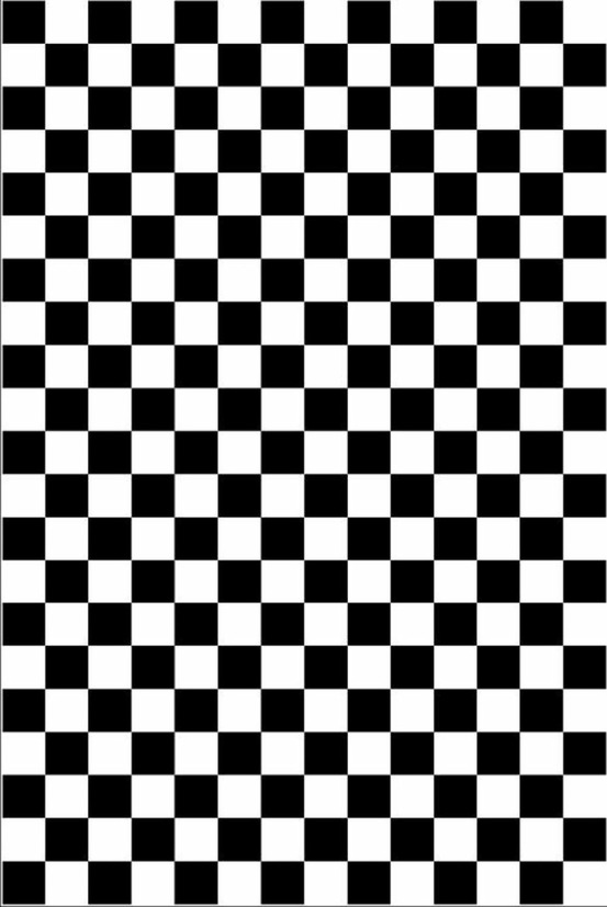 Tapis d'intérieur damier 160 x 230 cm - noir