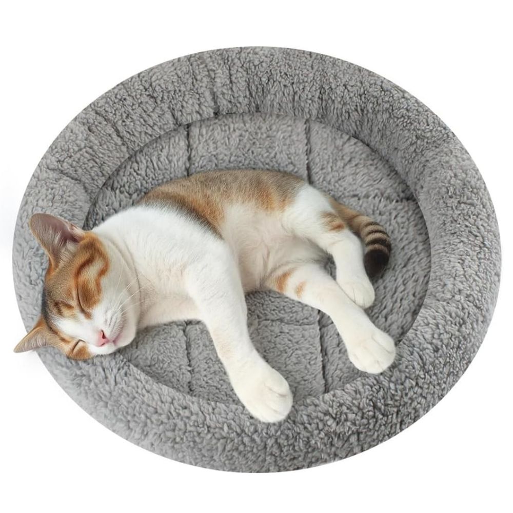 Lit rond pour chat et petit chien, doux, chaud, avec fond antidérapant