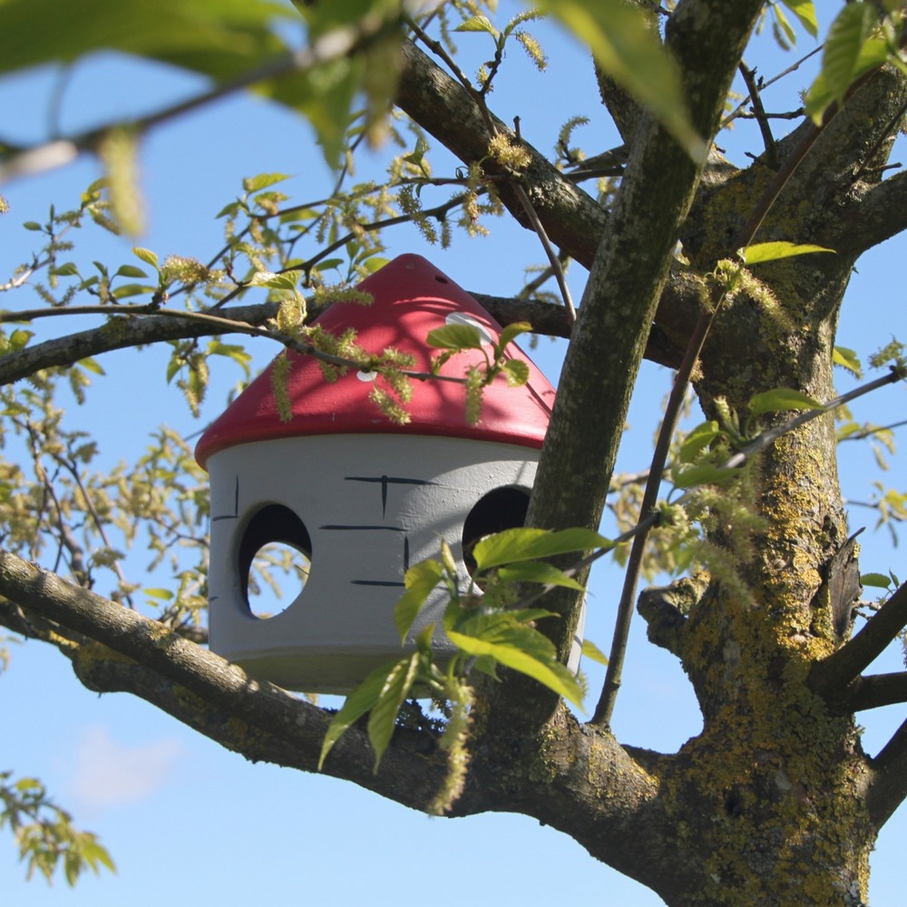 Mangeoire à oiseaux champignon