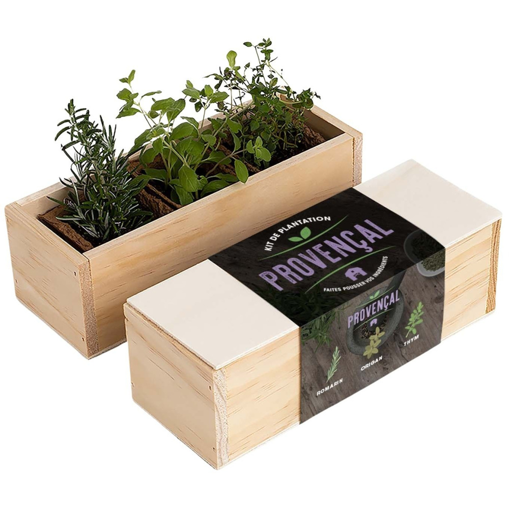 Kit d'auto-culture complet culinaire provençal