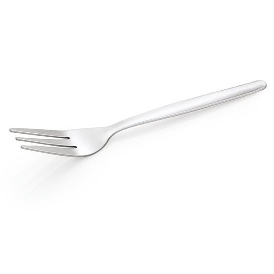 Lot de 12 fourchettes à gâteaux np80 eco en acier chrome l 140 mm - was germany