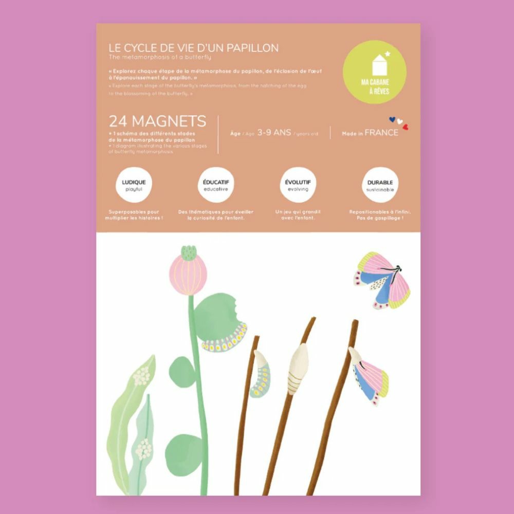 Jeu magnétique cycle de vie du papillon