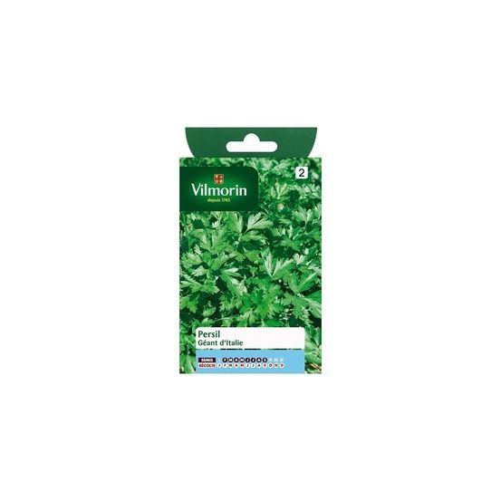 Sachet graines persil géant d'italie