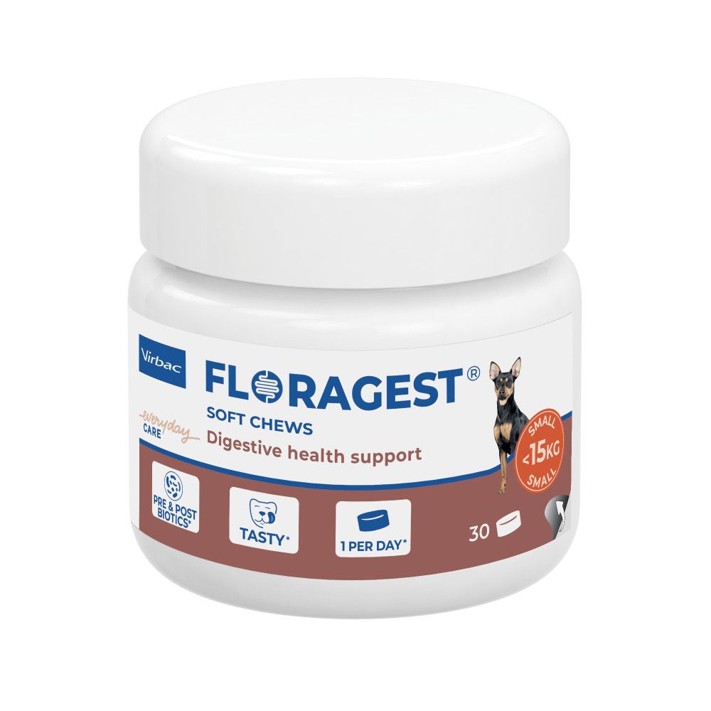 Floragest virbac - complément digestif pour chien s, m et l s