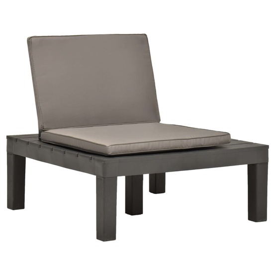 Chaises de salon de jardin et coussins 2pc plastique anthracite