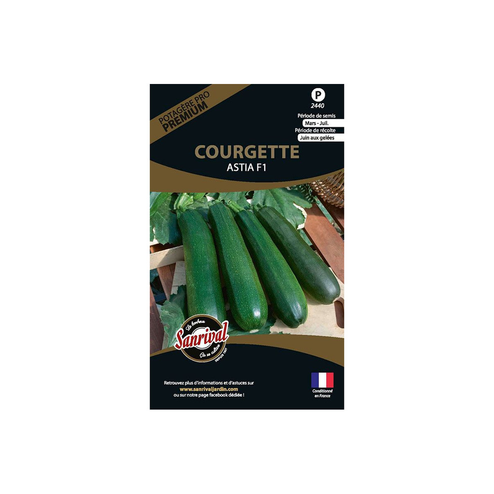 Graines potagères premium courgette astia