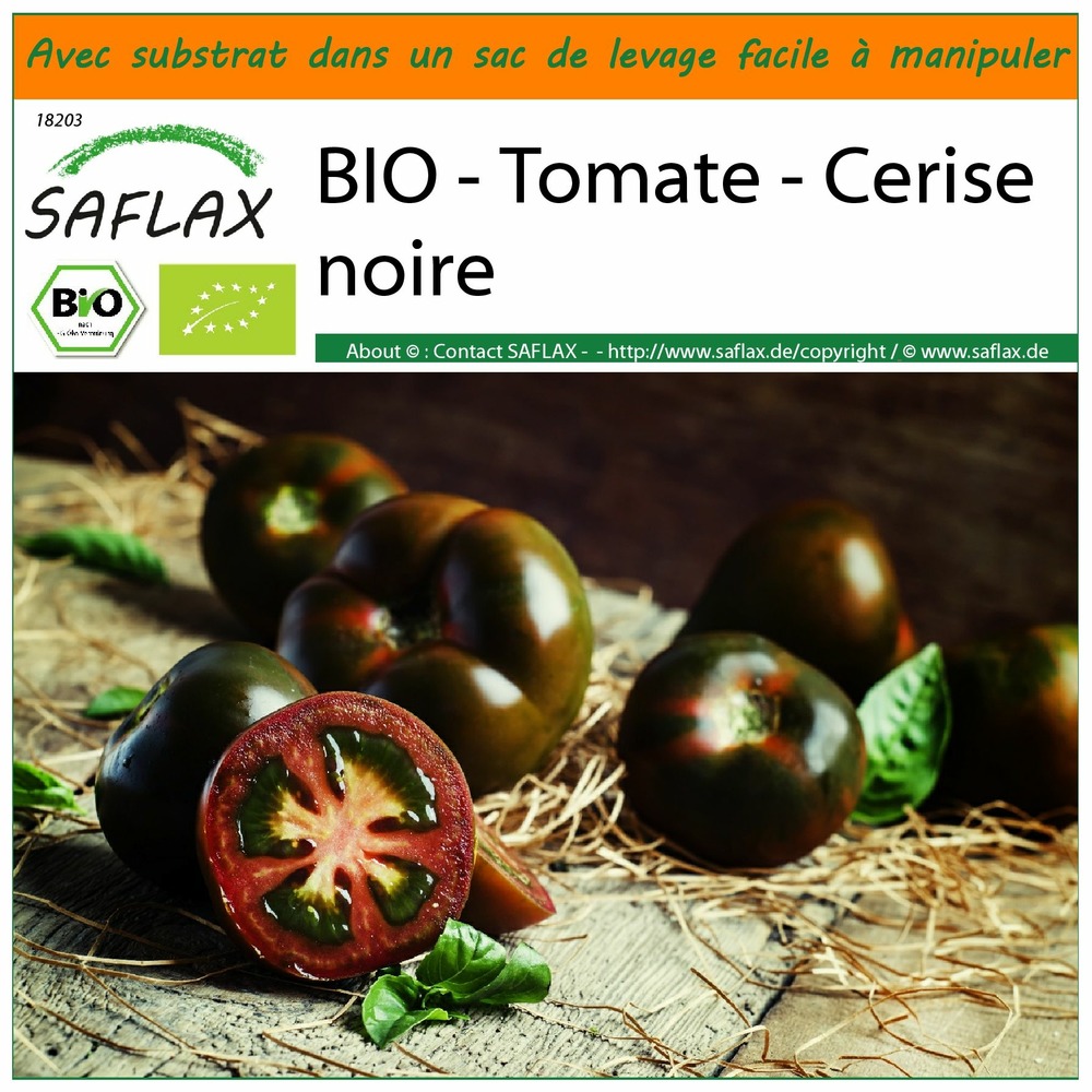 Garden in the bag - bio - tomate - cerise noire - 10 graines - solanum lycopersicum