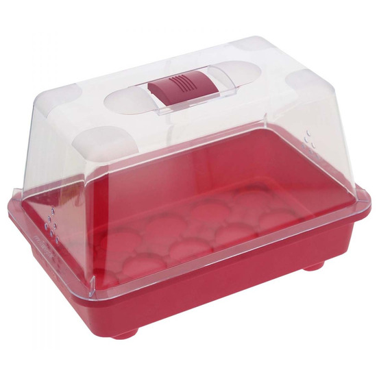 Mini serre non chauffante en plastique 29 x 19 x 19 cm colors
