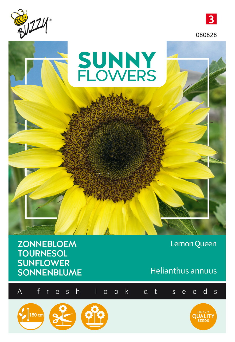 Buzzy sunny flowers, tournesol lemon queen - ca. 1 gr (livraison gratuite)