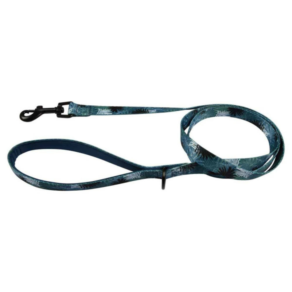 Laisse pour chien avec poignée 