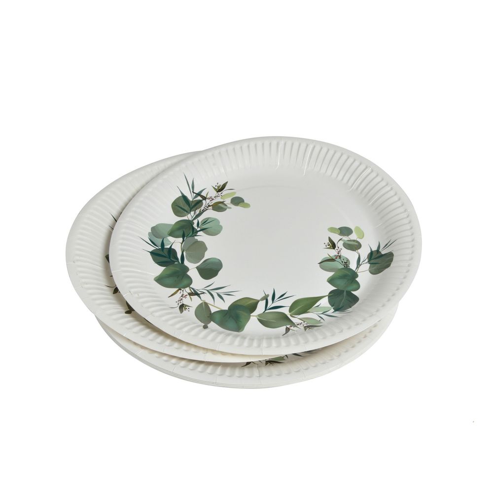 10 assiettes en carton 23 cm branche d'eucalyptus