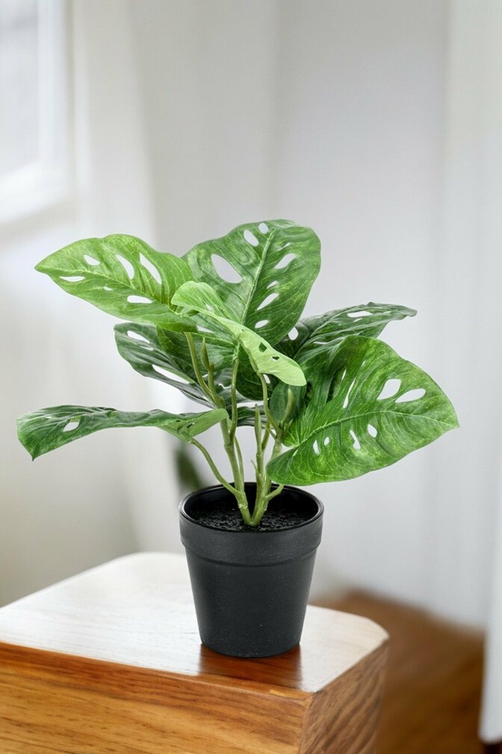Monstera monkey plante artificielle - h29cm, ø18cm