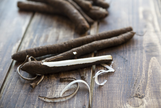 Sachet de graines de scorsonère géante noire de russie - sachet de 5 grammes - petite entreprise française - made in france