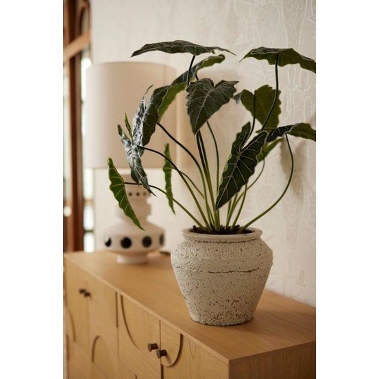 Alocasia plante artificielle - ø10 cm