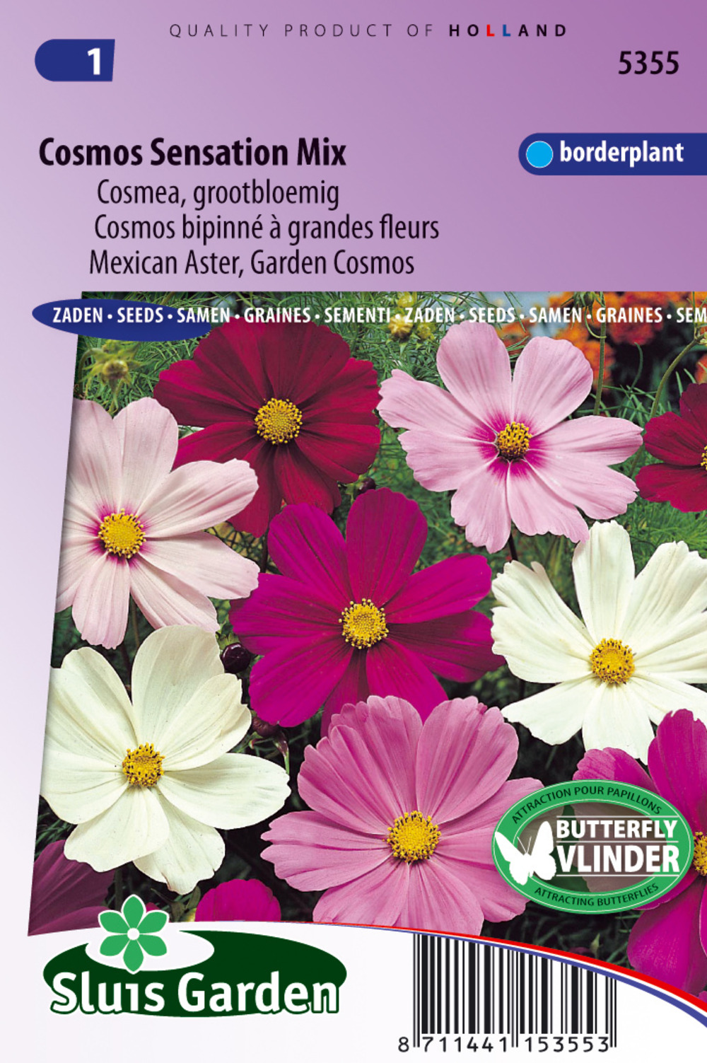 Cosmos bipinné à grandes fleurs sensation mix - graines de fleurs annuelles - ca. 1 g