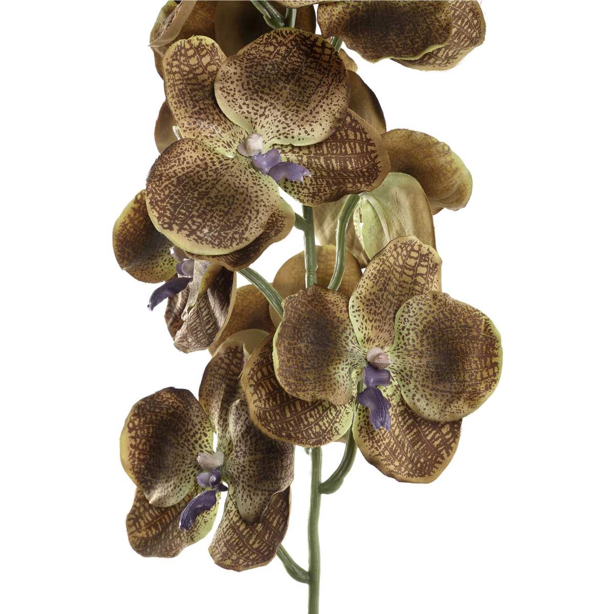 Ptmd branche artificielles orchidee - 78x17x79 cm - plastique - marron
