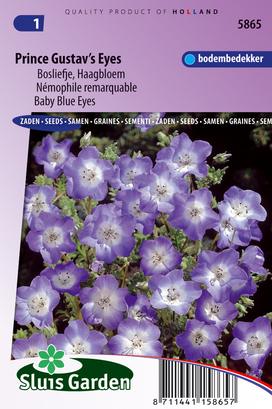 Ne-m'oubliez-pas, myosotis de forêts bleu - graines de fleurs bisannuelles - ca. 0,35 g (livraison gratuite)