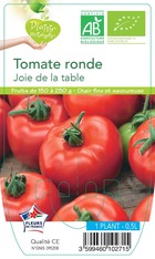 Tomate joie de la table -plant ab en  pot 0.5 l-plante du jardin
