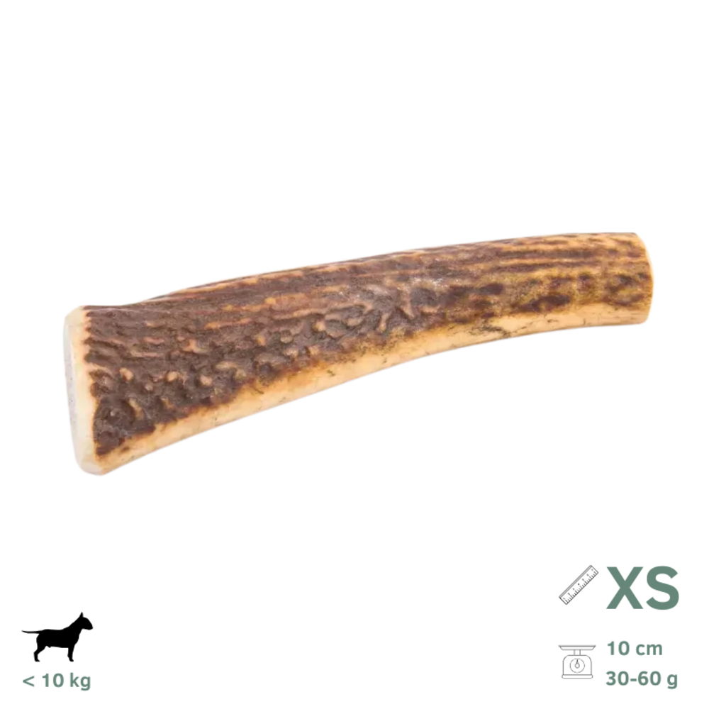 Bois de cerf pour chien xs 30-60g
