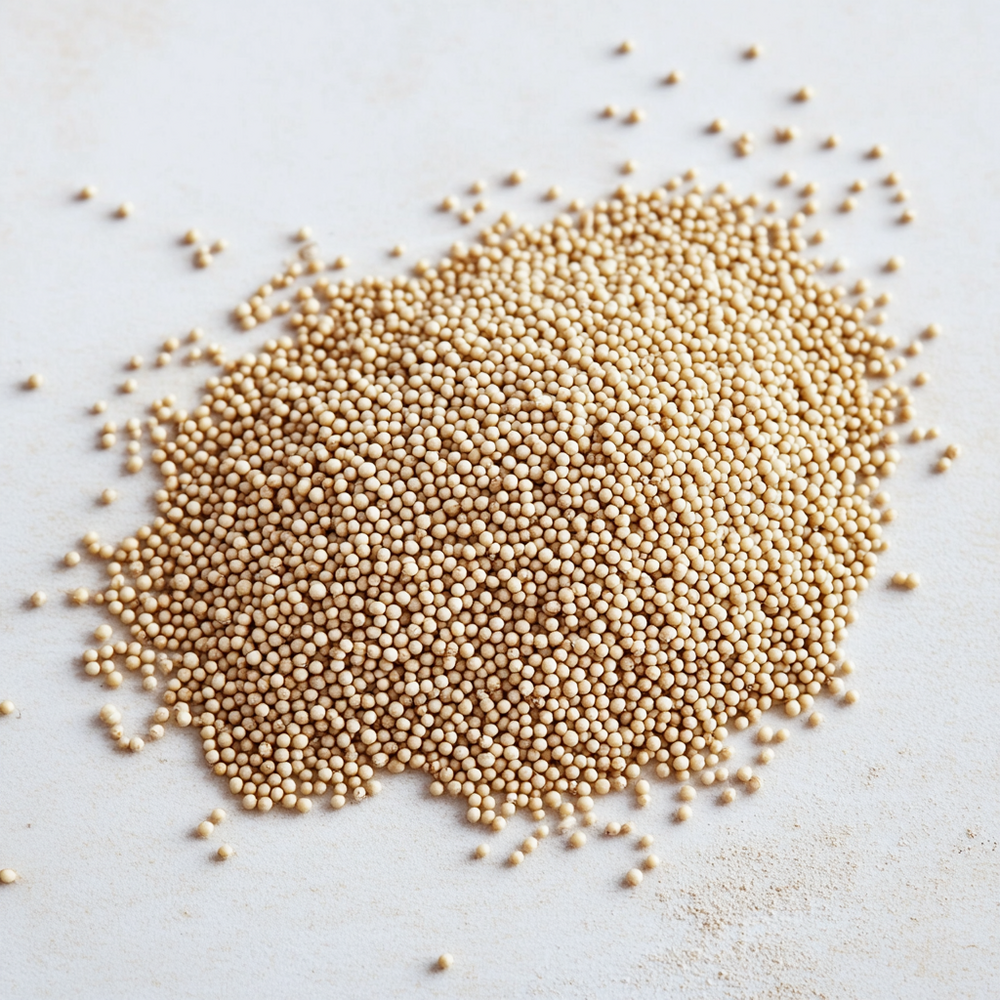 1000 graines d'amarante - semisauvage permaculture