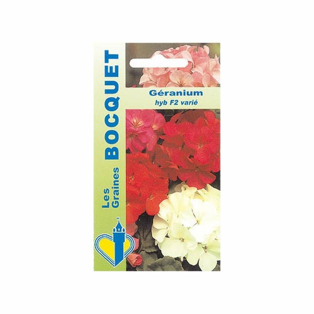 Géranium hyb f2 varié