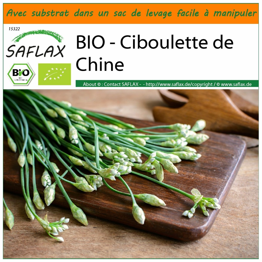 Garden in the bag - bio - ciboulette de chine - 100 graines - allium tuberosum