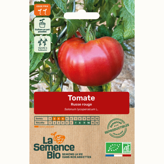 Tomate russe rouge bio