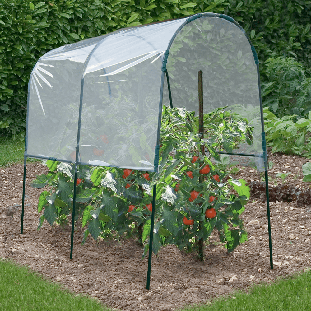 Serre à tomates de jardin 200 x 120 x 170 cm avec bâche transparente + arceaux en acier