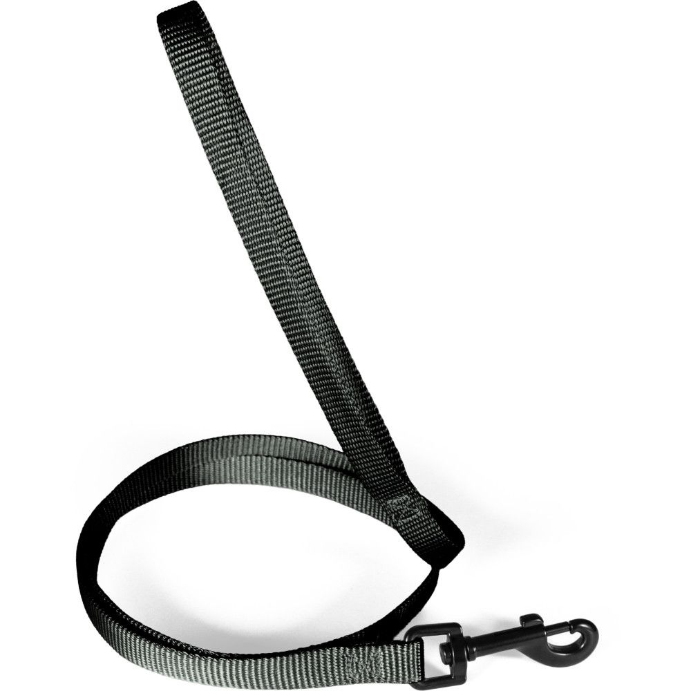 Laisse pour chien en nylon recyclé, sangle 20 mm, longueur 1,20 m - zolux (