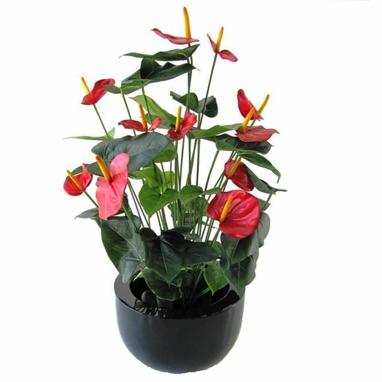 Anthurium artificiel deluxe rouge 80cm