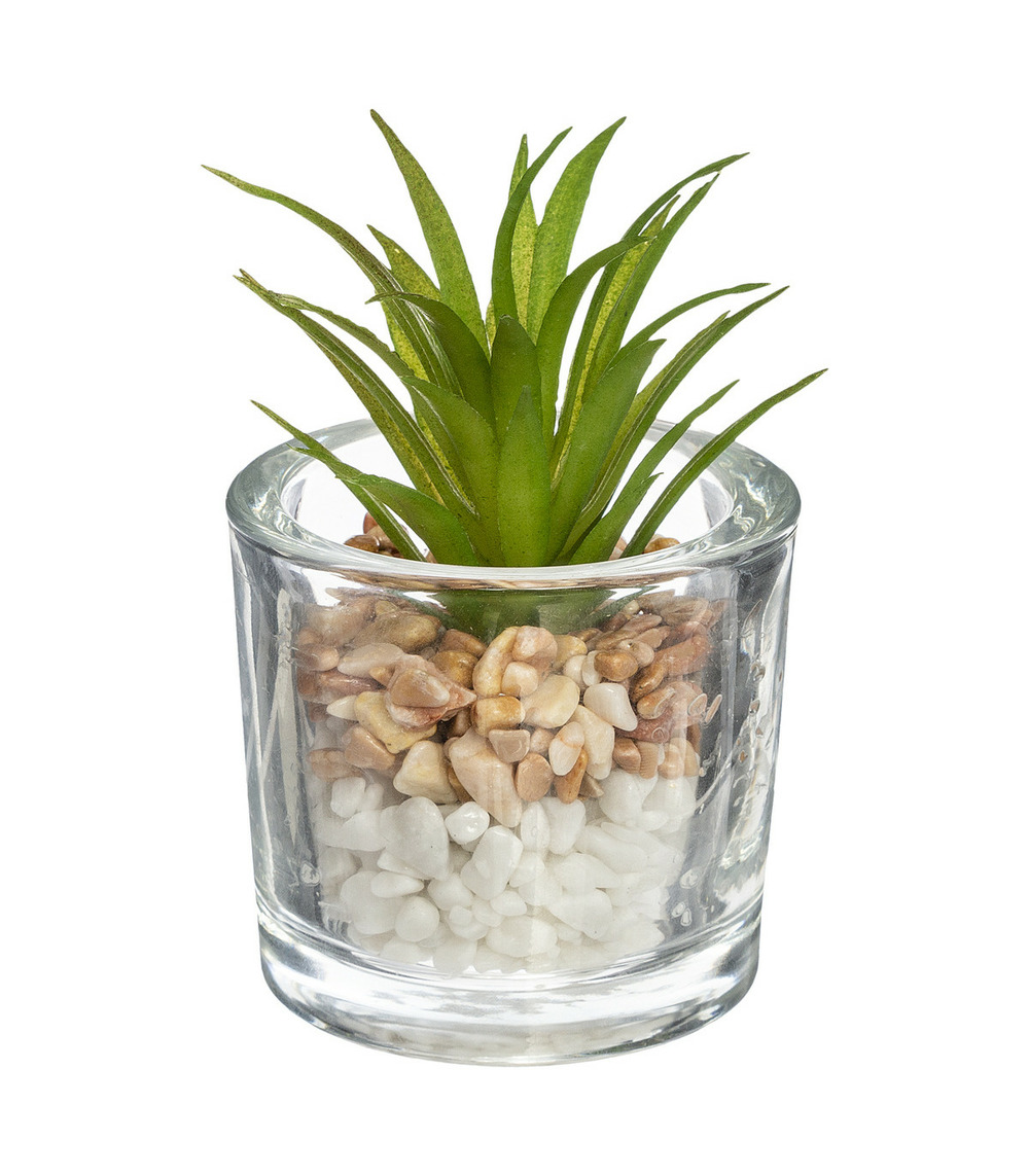 Plante grasse artificielle pot en verre d 6,5 x h 10 cm