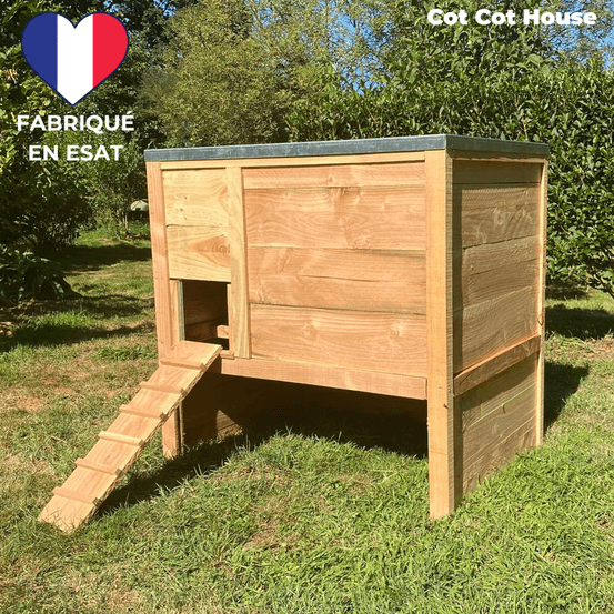Poulailler 4 poules solide et pratique - modèle houdan