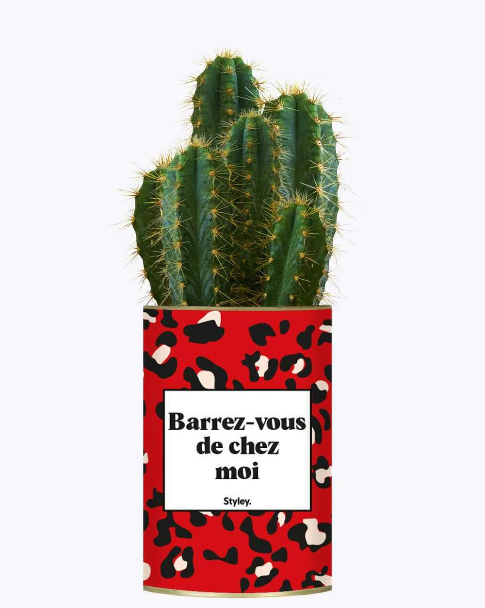 Idée cadeau - barrez-vous de chez moi - cactus