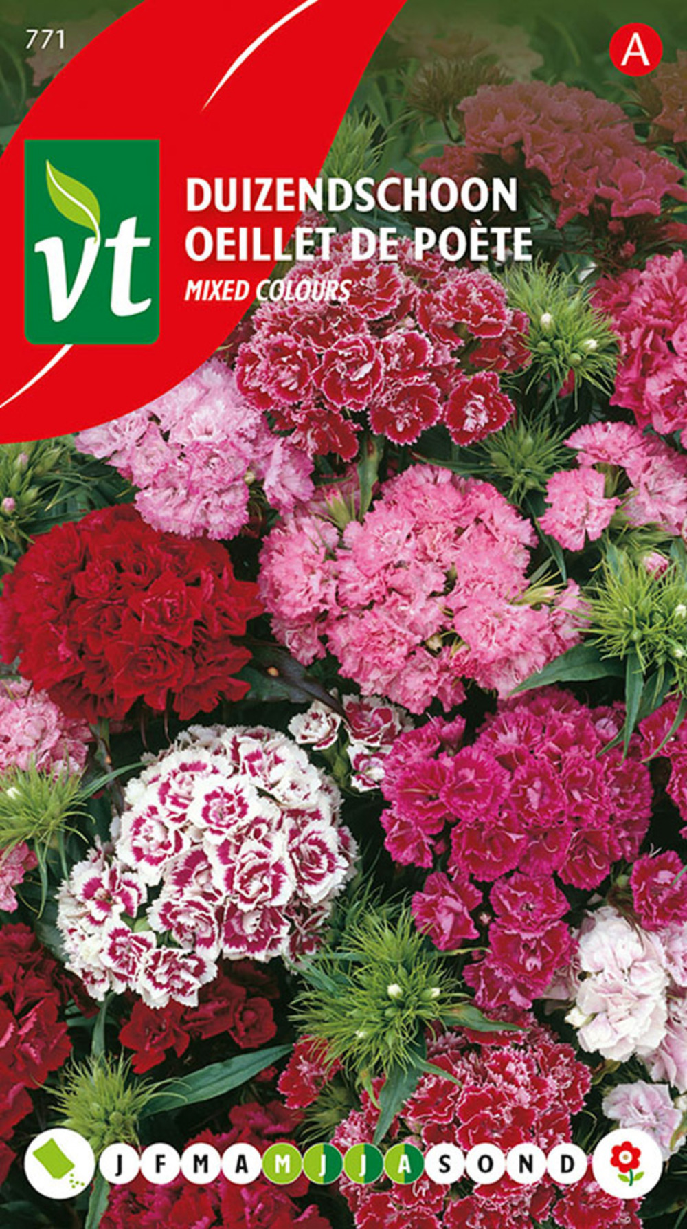 Oeillet de poete double - ca. 0,75 gr (livraison gratuite)