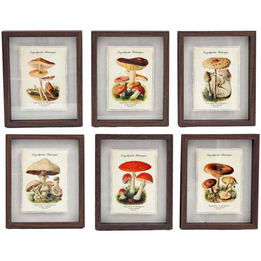 Tableaux décoratifs champignons 30 x 40 cm (lot de 6)