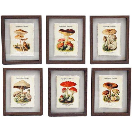 Tableaux décoratifs champignons 30 x 40 cm (lot de 6)