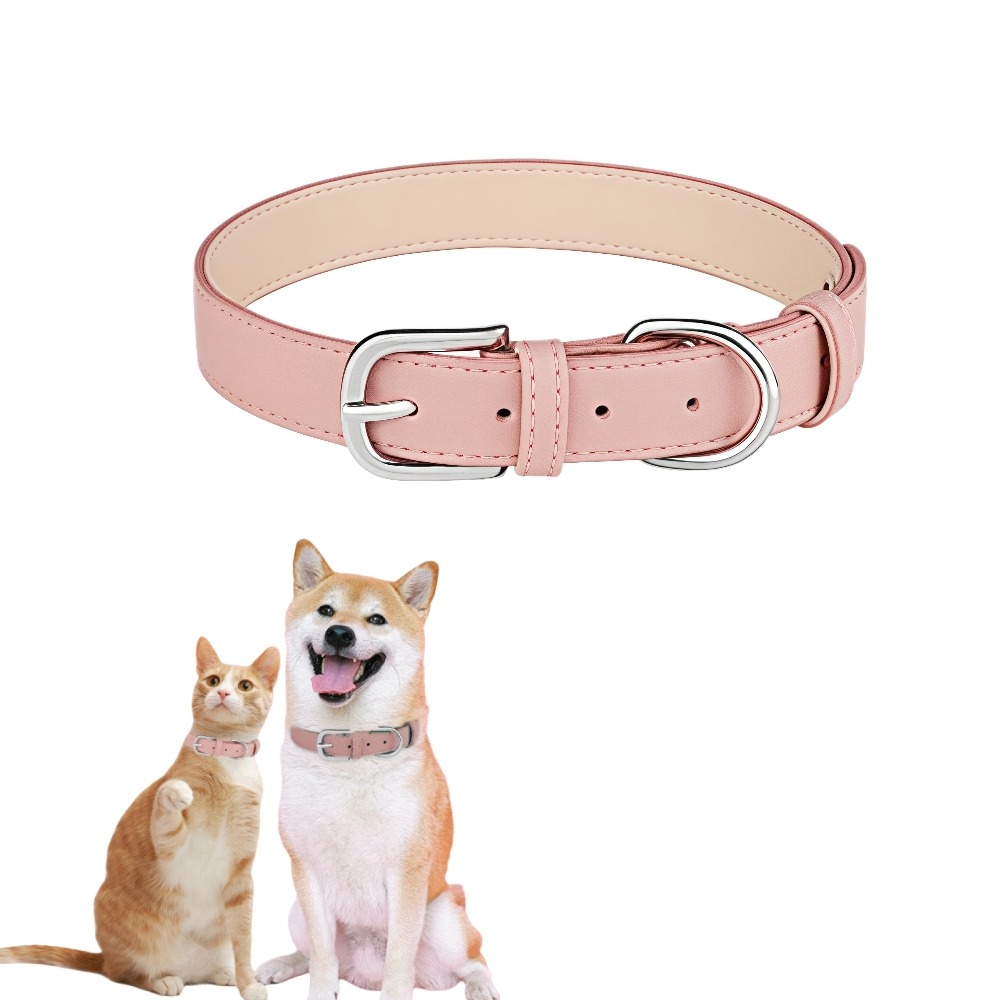 Collier pour chien l