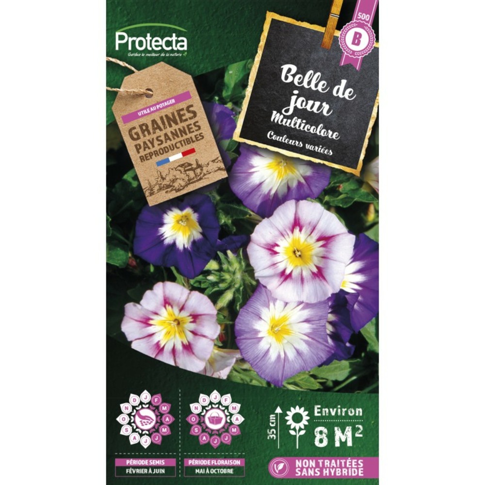 Graines paysannes - belle de jour variée