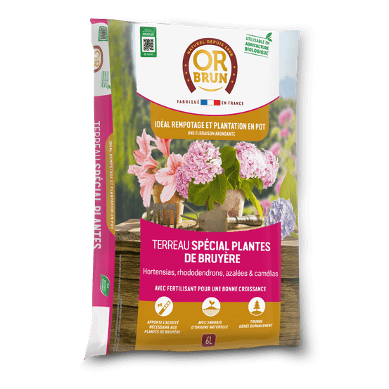 Or brun obrtbru6u - terreau spécial plantes de bruyère - 6l - meilleur enracinement