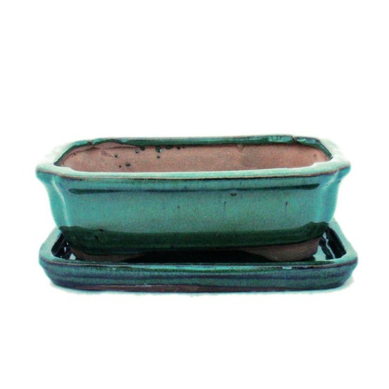Bol bonsaï avec soucoupe taille 2 - vert - carré - modèle g12 - l 15,5cm - b 11,5cm - h 4,5cm