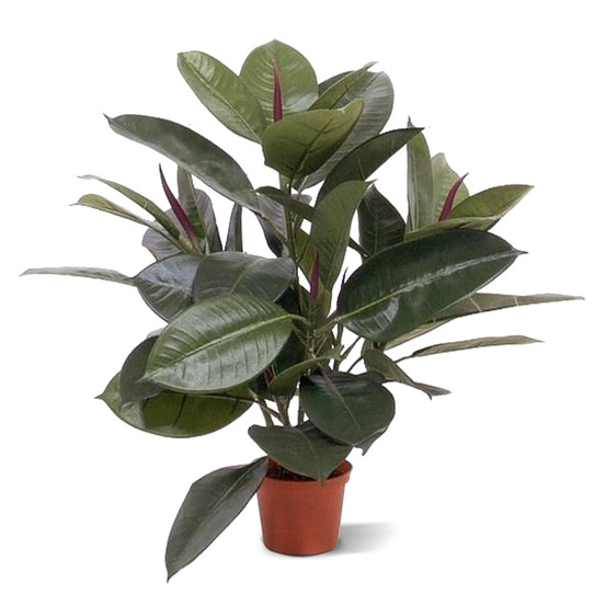 Philodendron artificiel 50 cm en pot