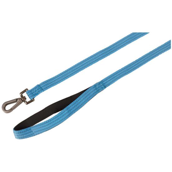 Laisse jannu bleu 1 mètre x 20 mm pour chien.