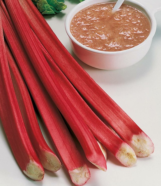 Rhubarbe - 2 godets