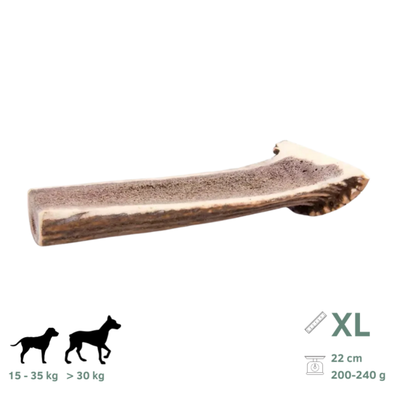 Bois de cerf tranchés pour chien xl 200-240g