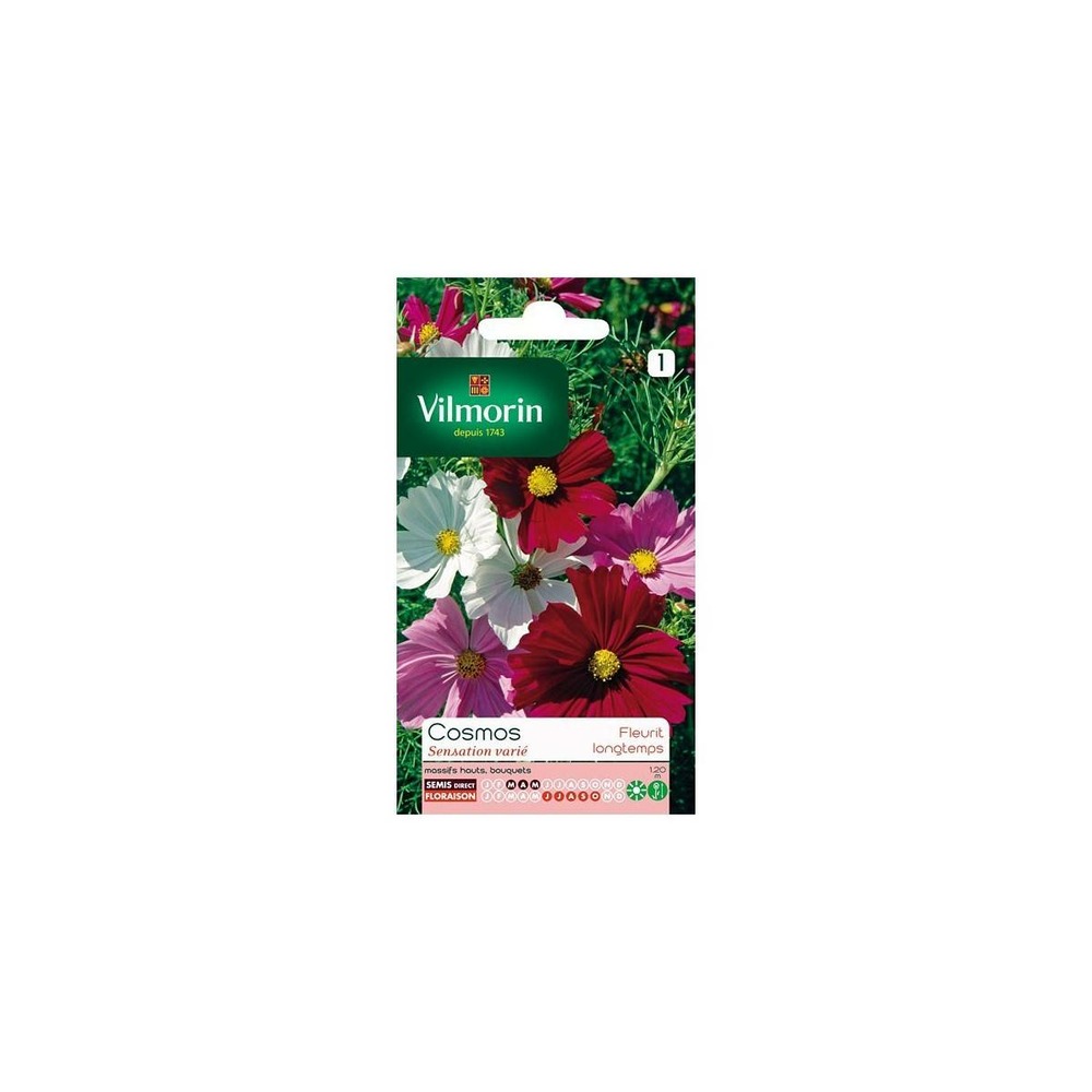 Sachet graines cosmos sensation varié