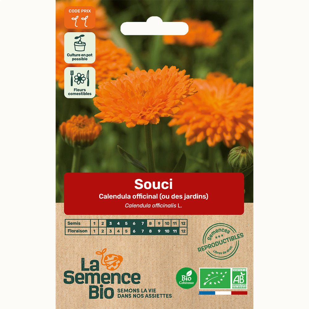 Souci calendula officinal - graines bio