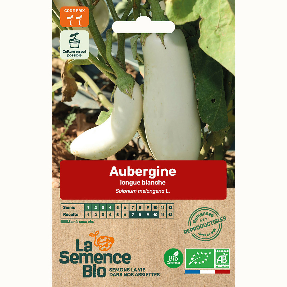 Aubergine longue blanche - graines bio
